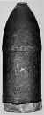 4.62-inch Brooke Shell
