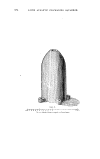 Torpedo — view 2