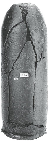 Federal 10-pounder (2.9-inch caliber) Read-Parrott projectile