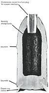 CS 3-inch Virginia Style Read Shell