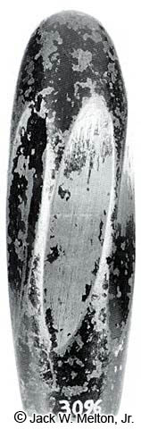 6-pounder Whitworth Bolt